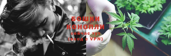 тгк Инта