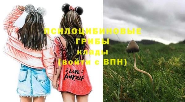гашиш Инсар
