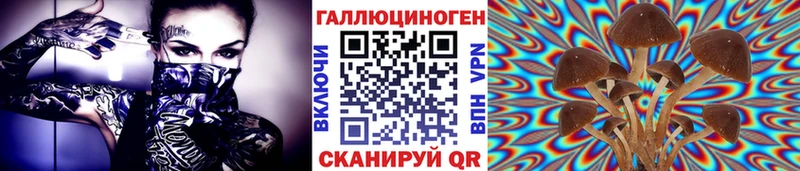 Купить закладки  Заволжье  Псилоцибиновые грибы прущие грибы 